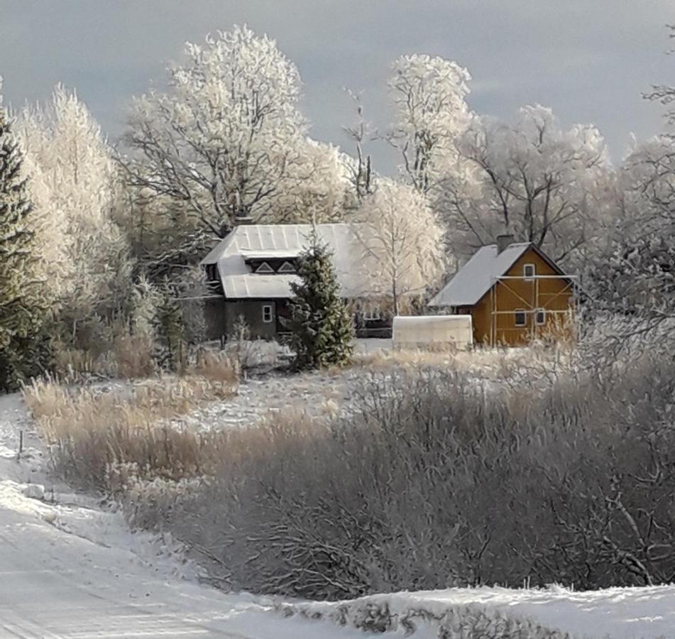 Vila Hommik House Otepää Exteriér fotografie